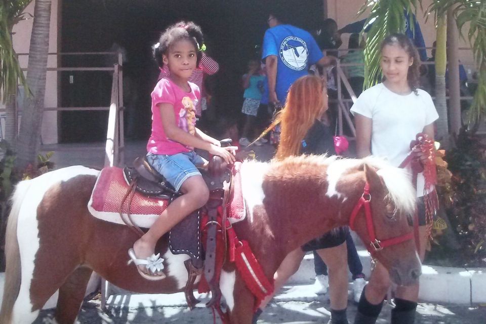 Field trip to animal kingdom 7