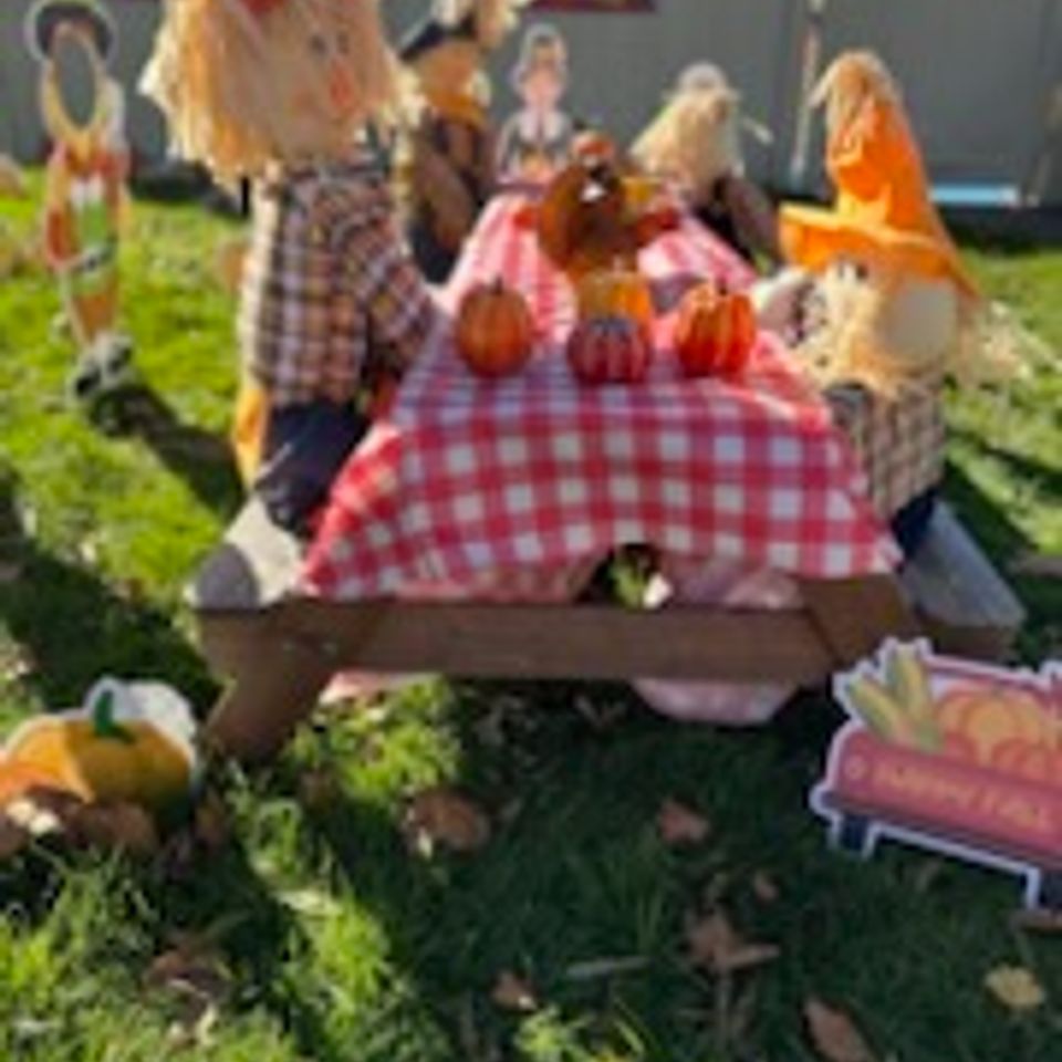 Fall images 2