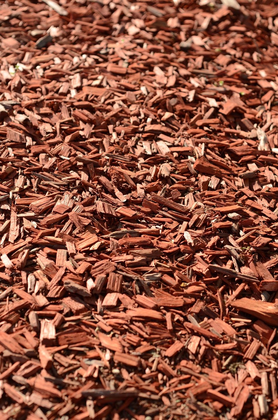 Mulch gd28ea2c35 1920
