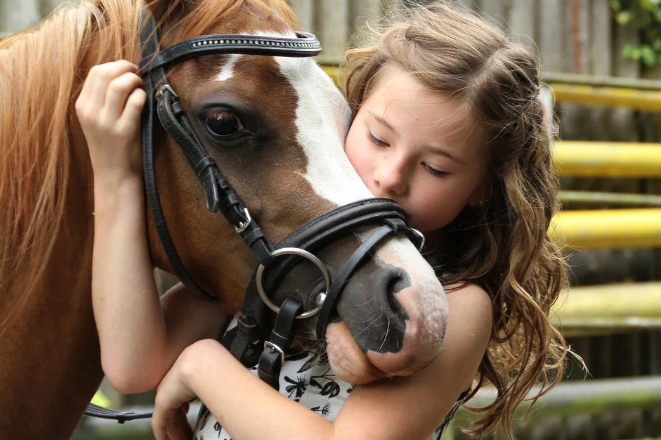Pony rides