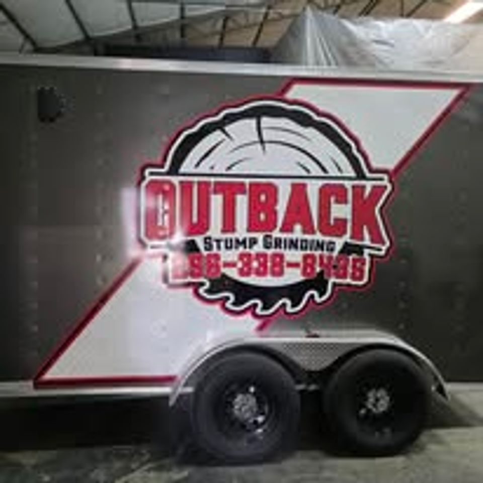 492554791 1119036030028936 9196771483945841616 n