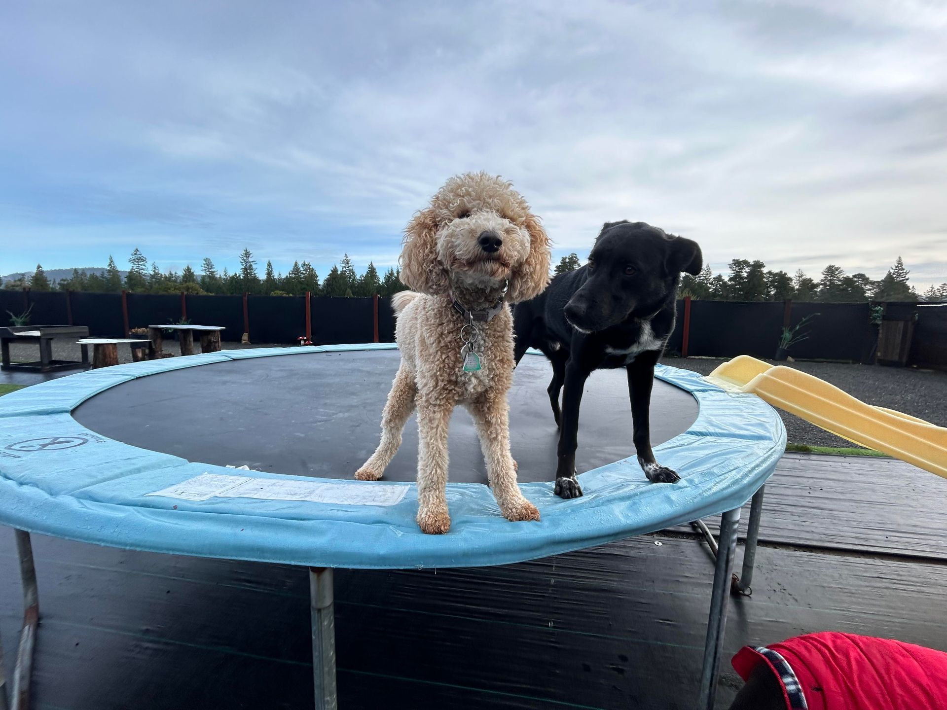 Mendocino Sonoma Coast