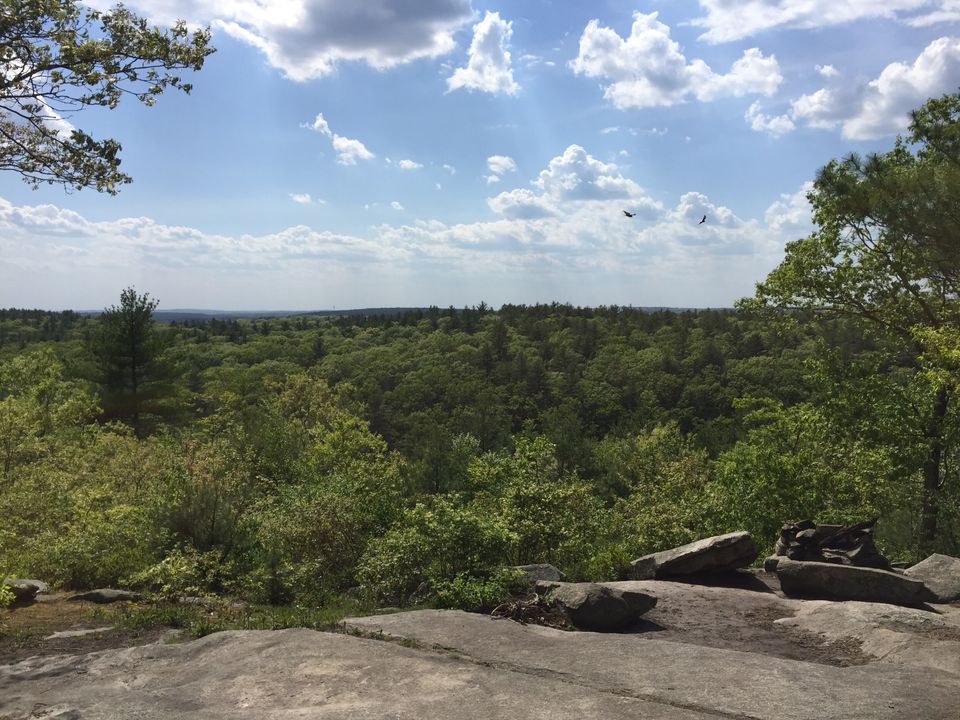 Svt kellyproperty trail