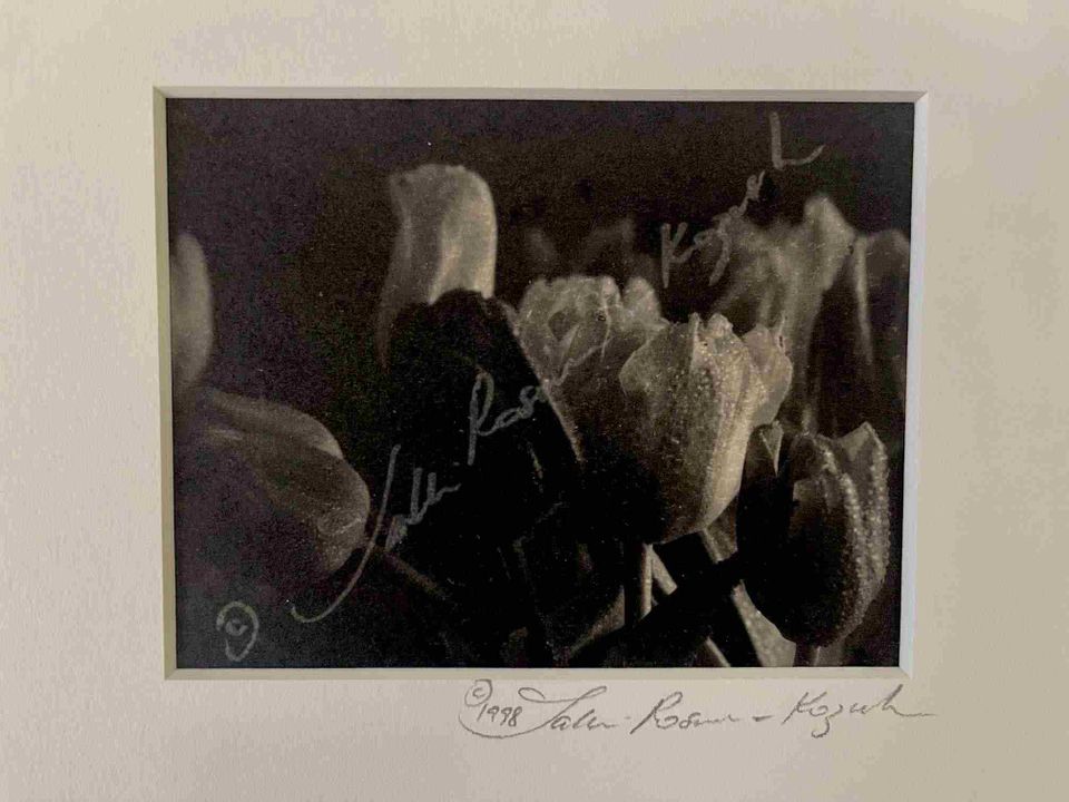 Tulips in movie platinum print