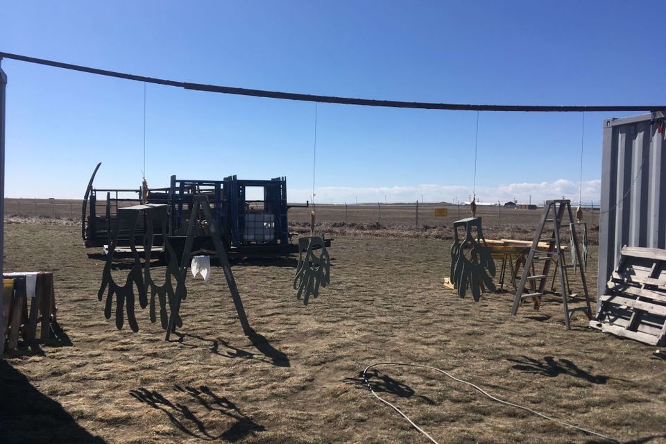 City of loveland sculpture (4)