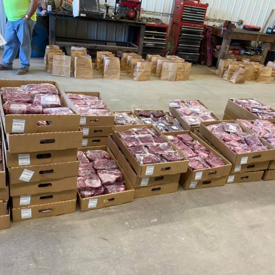 Beef day 4