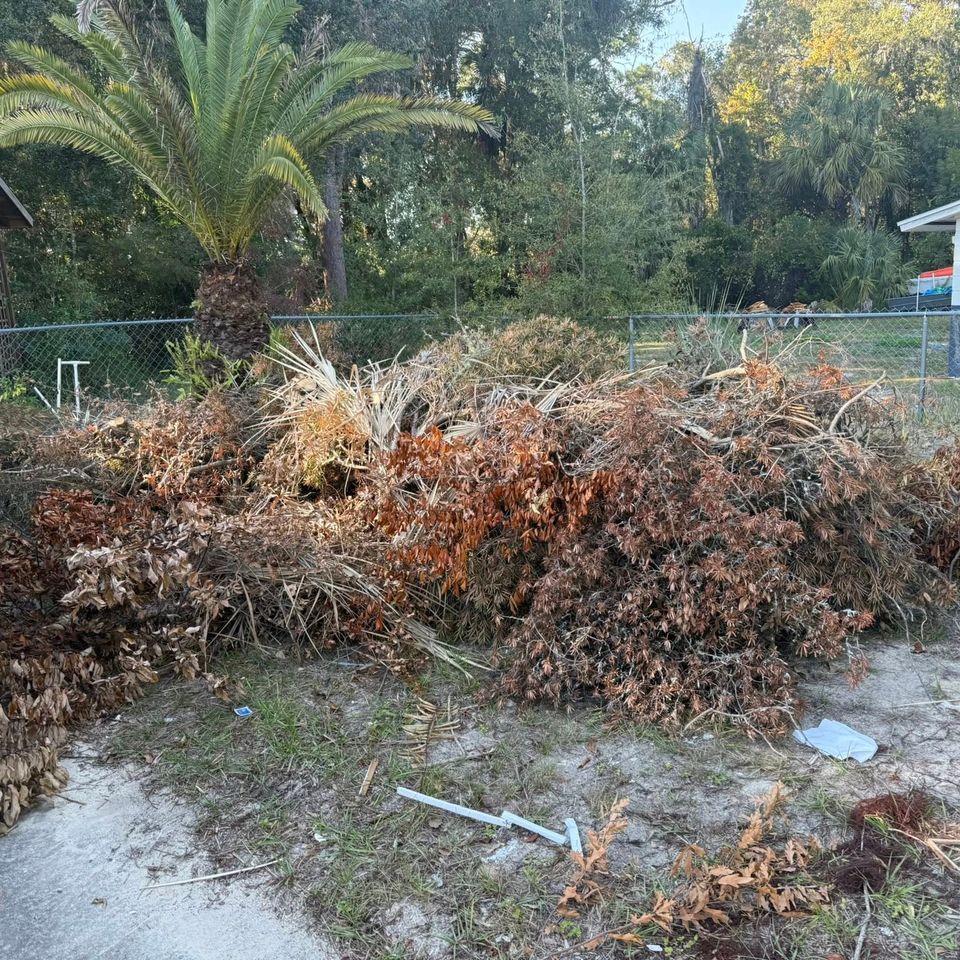 Branches and leaves in a pile, taken care of by JNJ Hauling Solutions of Citrus County