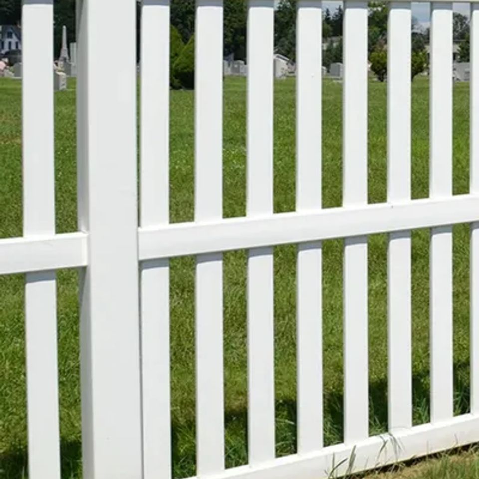 Vinyl image original (1)