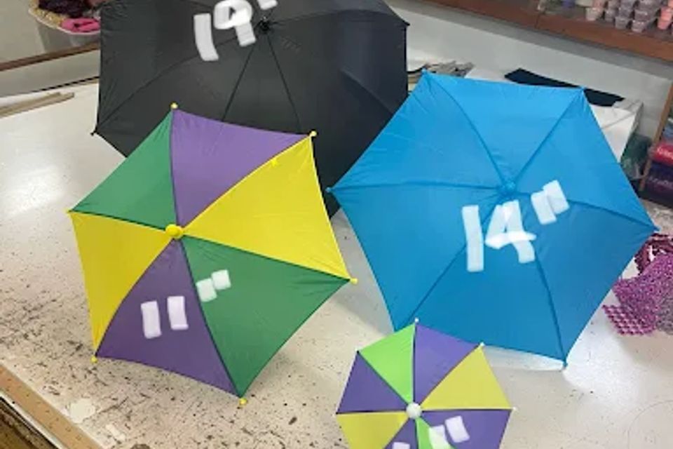 Assorted umbrellas at Jefferson Variety Store