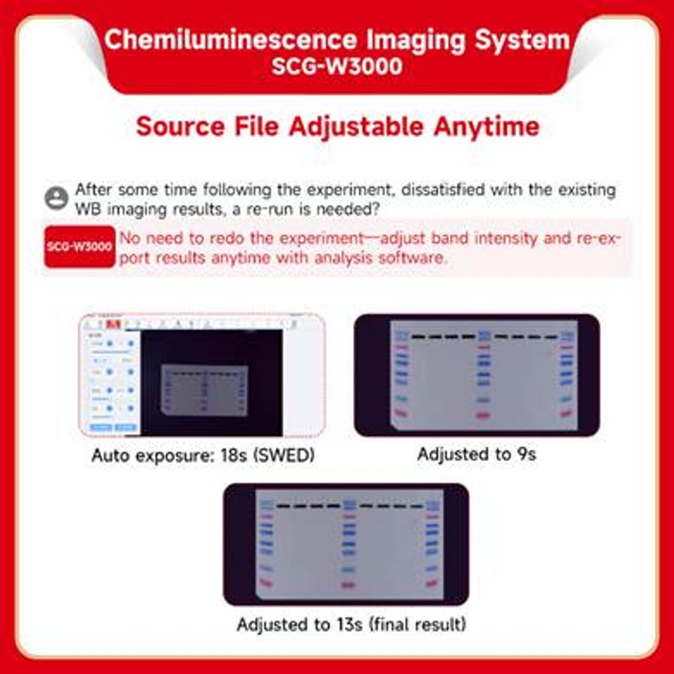 Image (11)