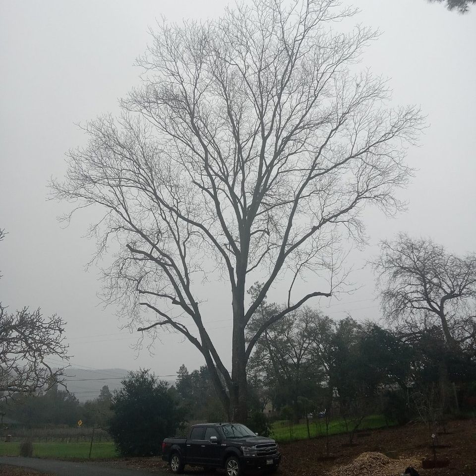 O   2024 04 17t154340.232