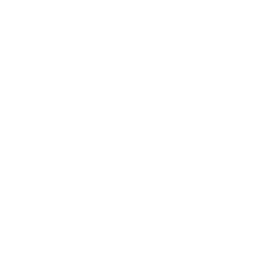 Light bulb icon