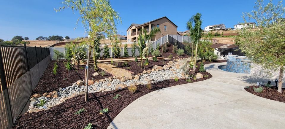 Alta Vista Tree Removal