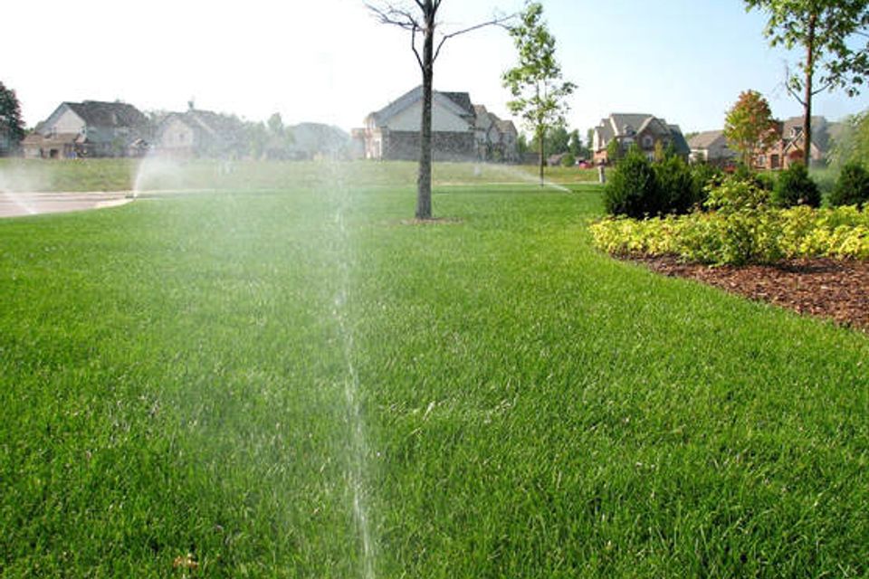 Front lawn irrigation for web 6