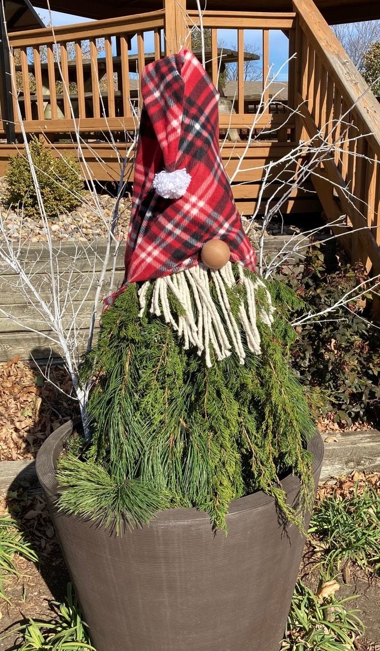 Gnome