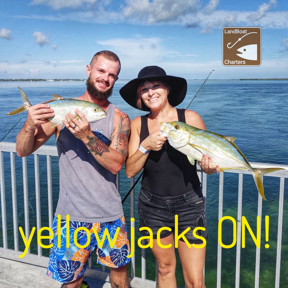Yellow jacket 2