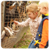 Hhlc summer camp petting zoo