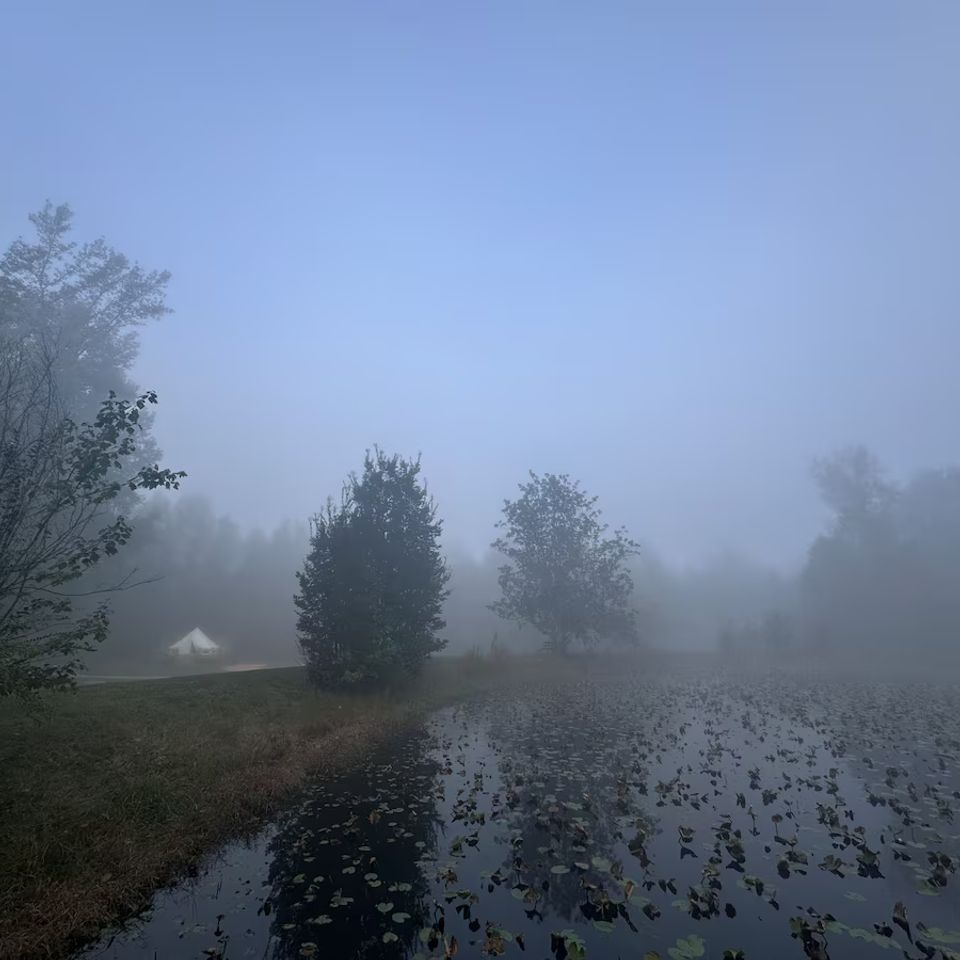 3c0ff658 2960 423e bf41 3cdadb879f57