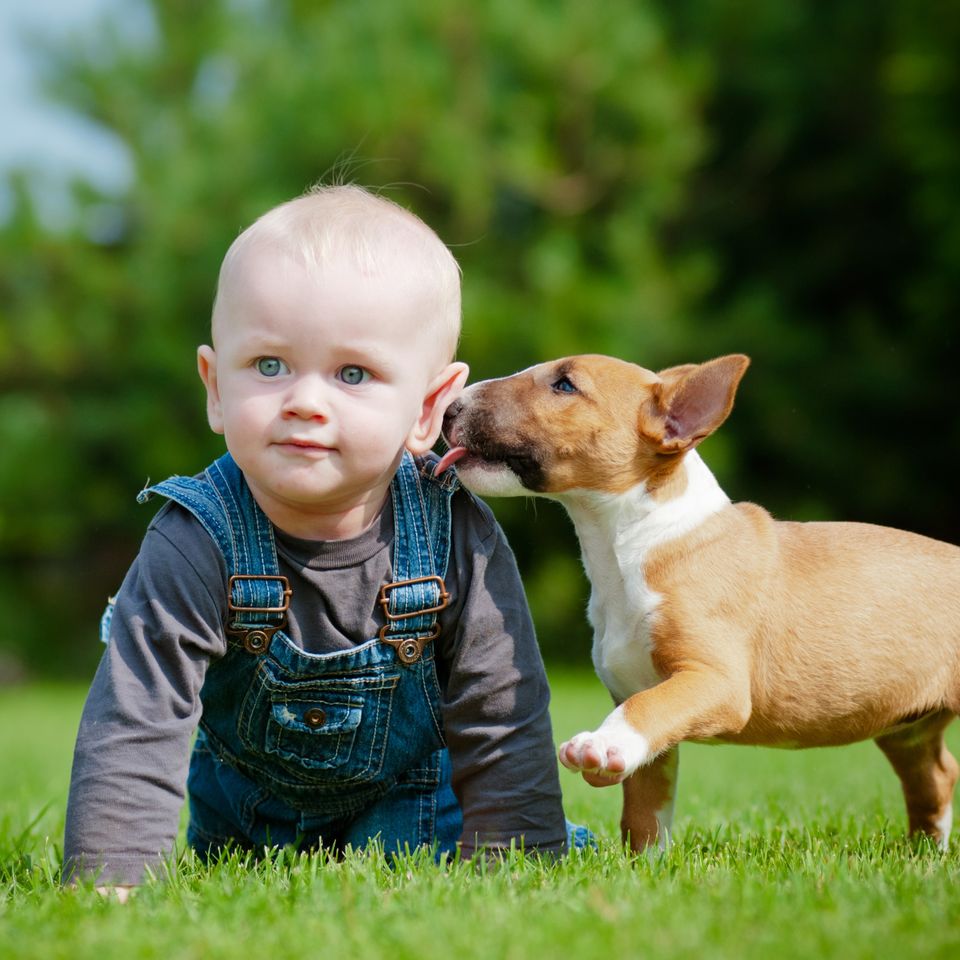 Babyanddogonlawn20180314 11236 1c2zkwm