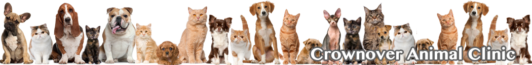 Crownover Animal Clinic