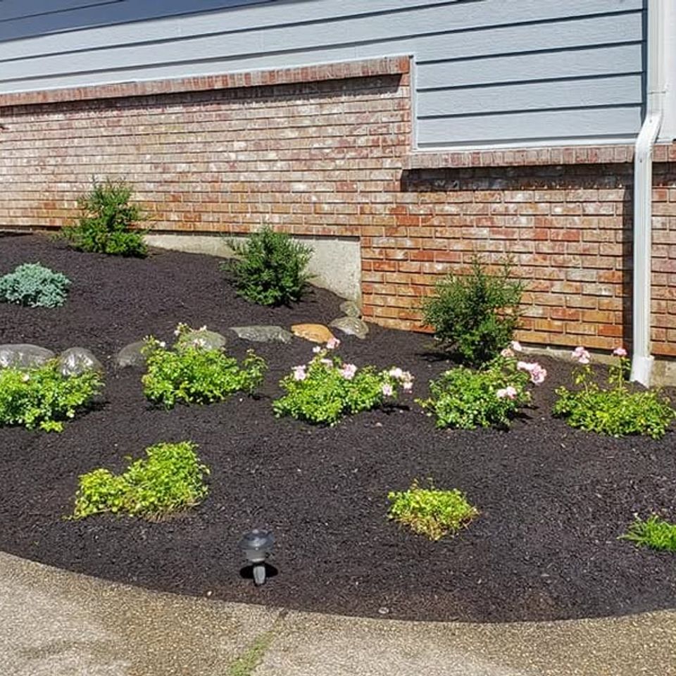 62334601 368719673829438 8479360379791605760 n original