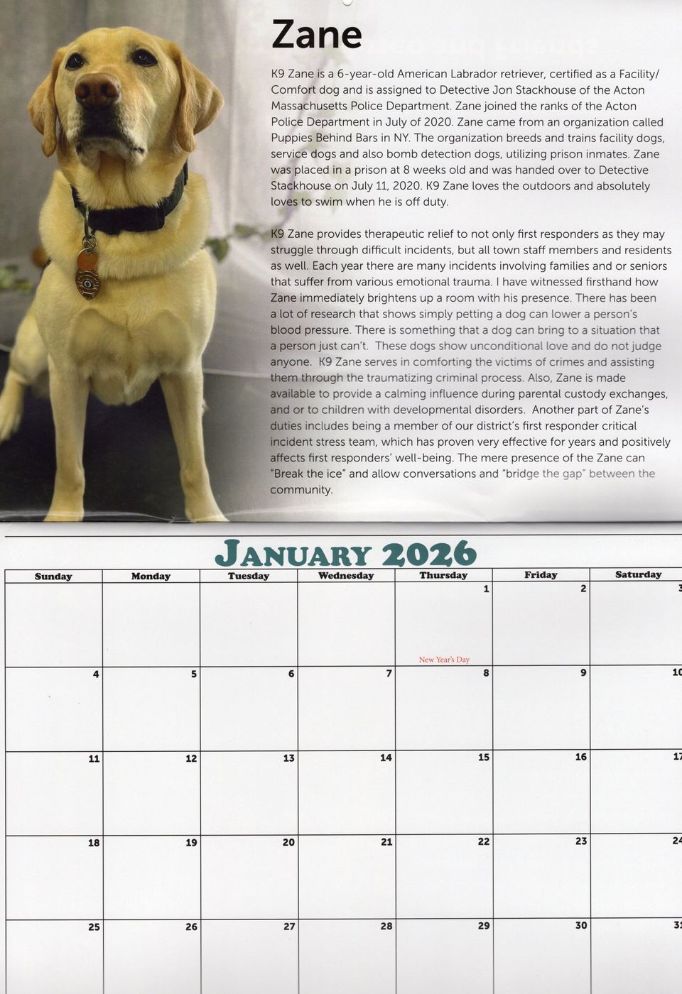 “top dog” calendar sale2
