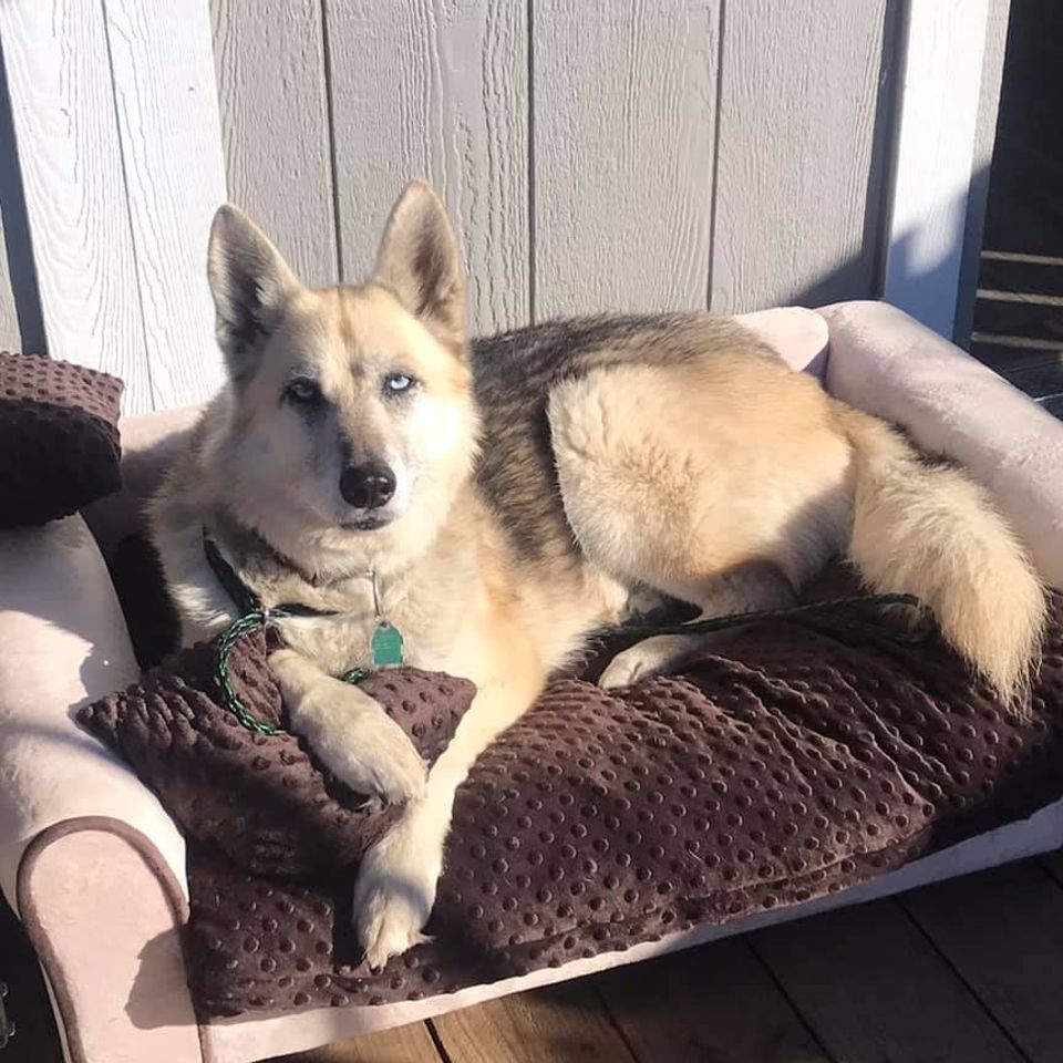 470809896 1016089397239325 3992896554347126231 n