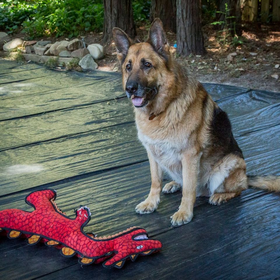 471322320 1018576810323917 7679879093250087862 n