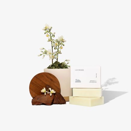 Moringacedarwoodsoap3.jpg