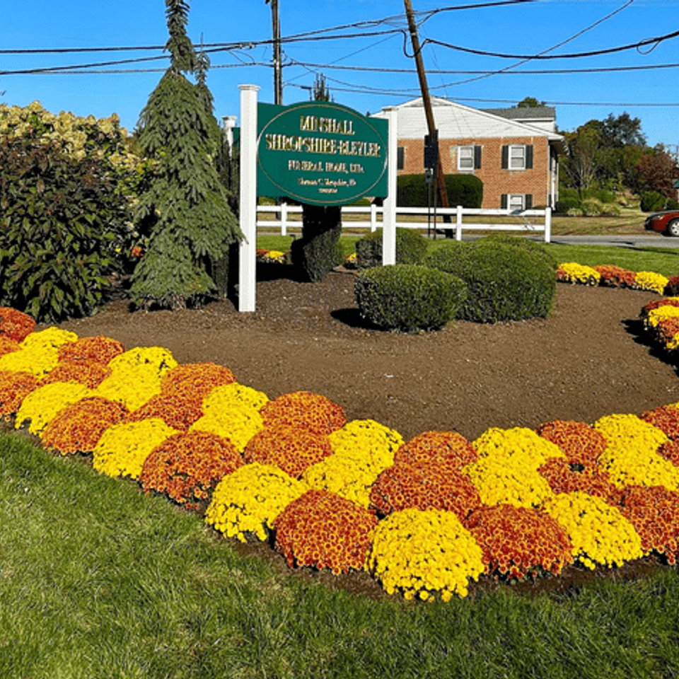 Fall landscaping ideas how mums add instant curb appeal to commercial properties edited
