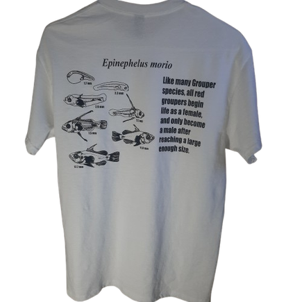 Innerspace redgrouper back