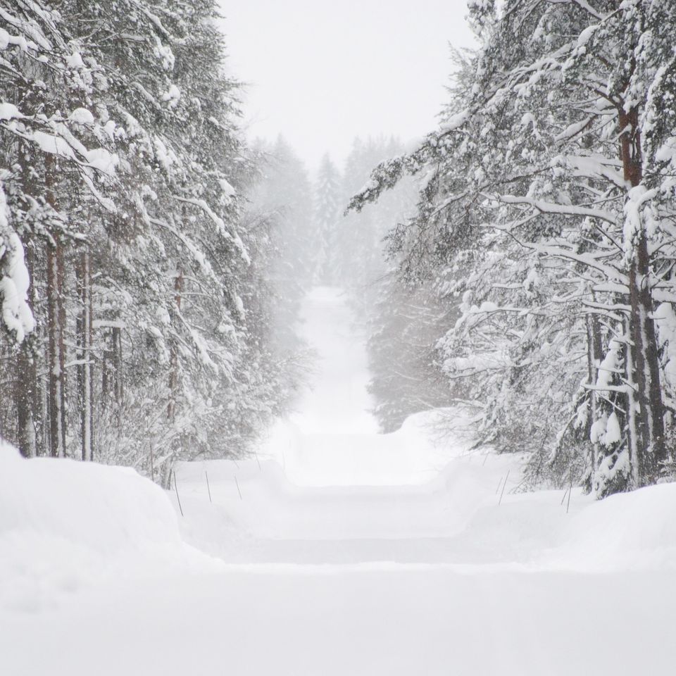 Winter e834b9092b 1920