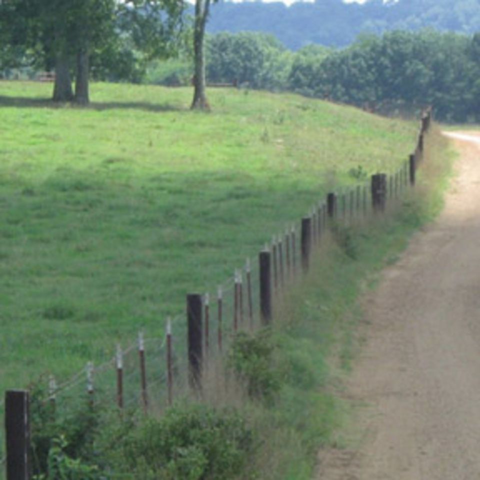 Fieldfenceonestrand6500 720150602 29141 w8ysvw