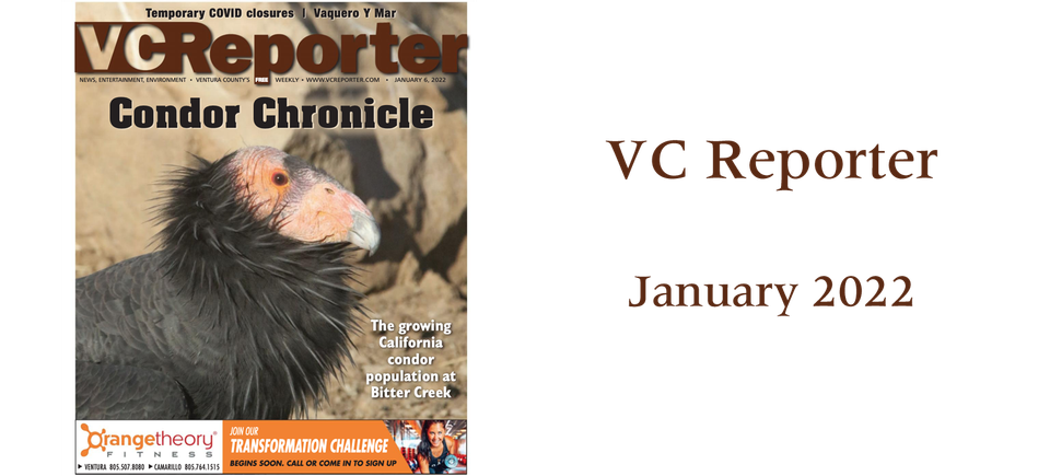Vc reporter jan 2022