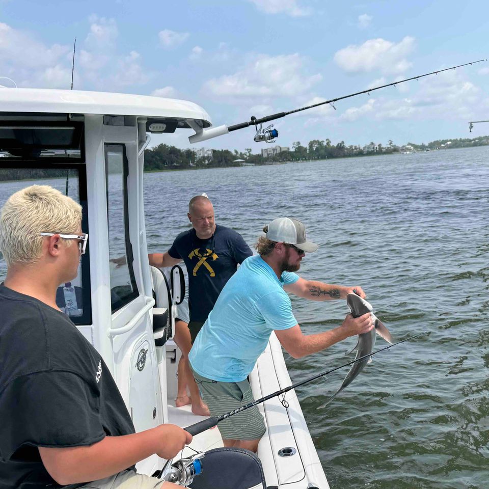 Family on charter boat releasing a small shark near bridge in Charleston waters