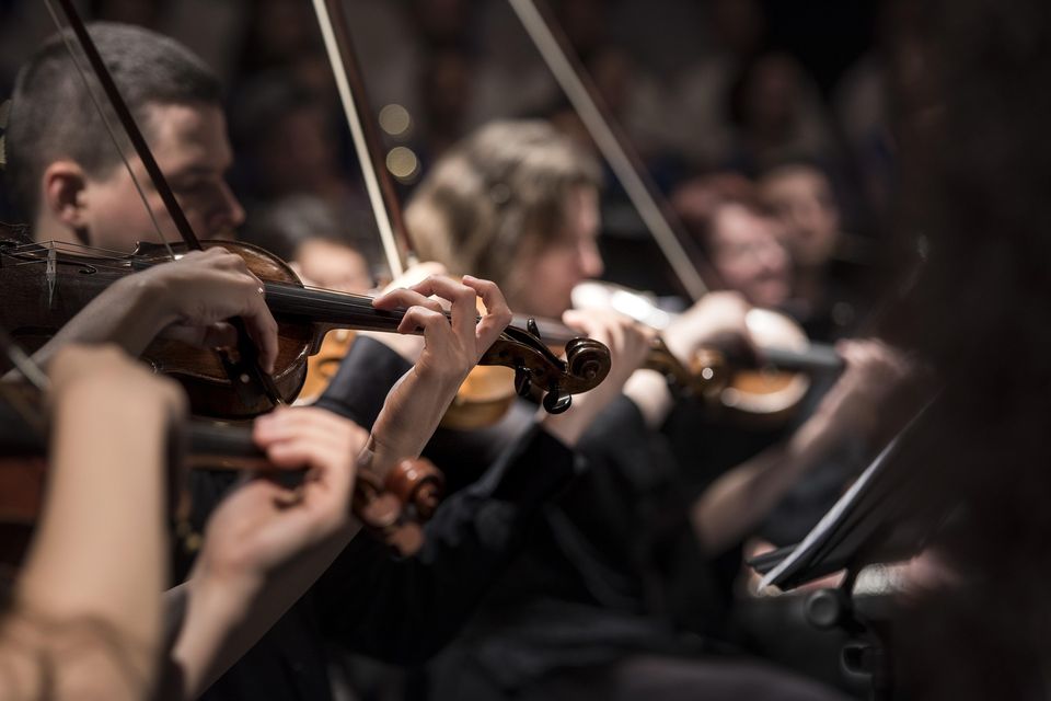 Violins gaecc4e5a4 1920