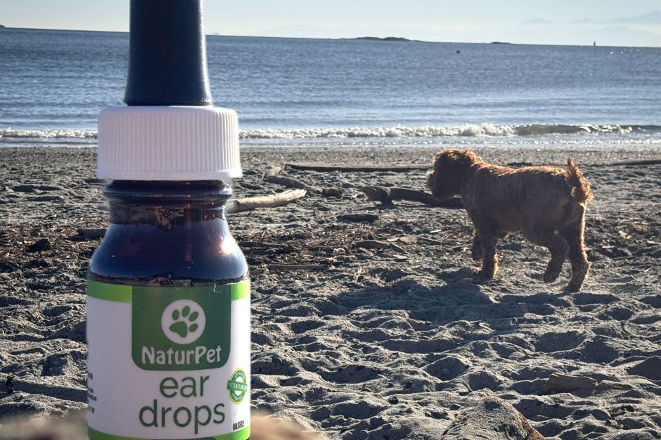 Natures formulae ear drops beach w dog 1