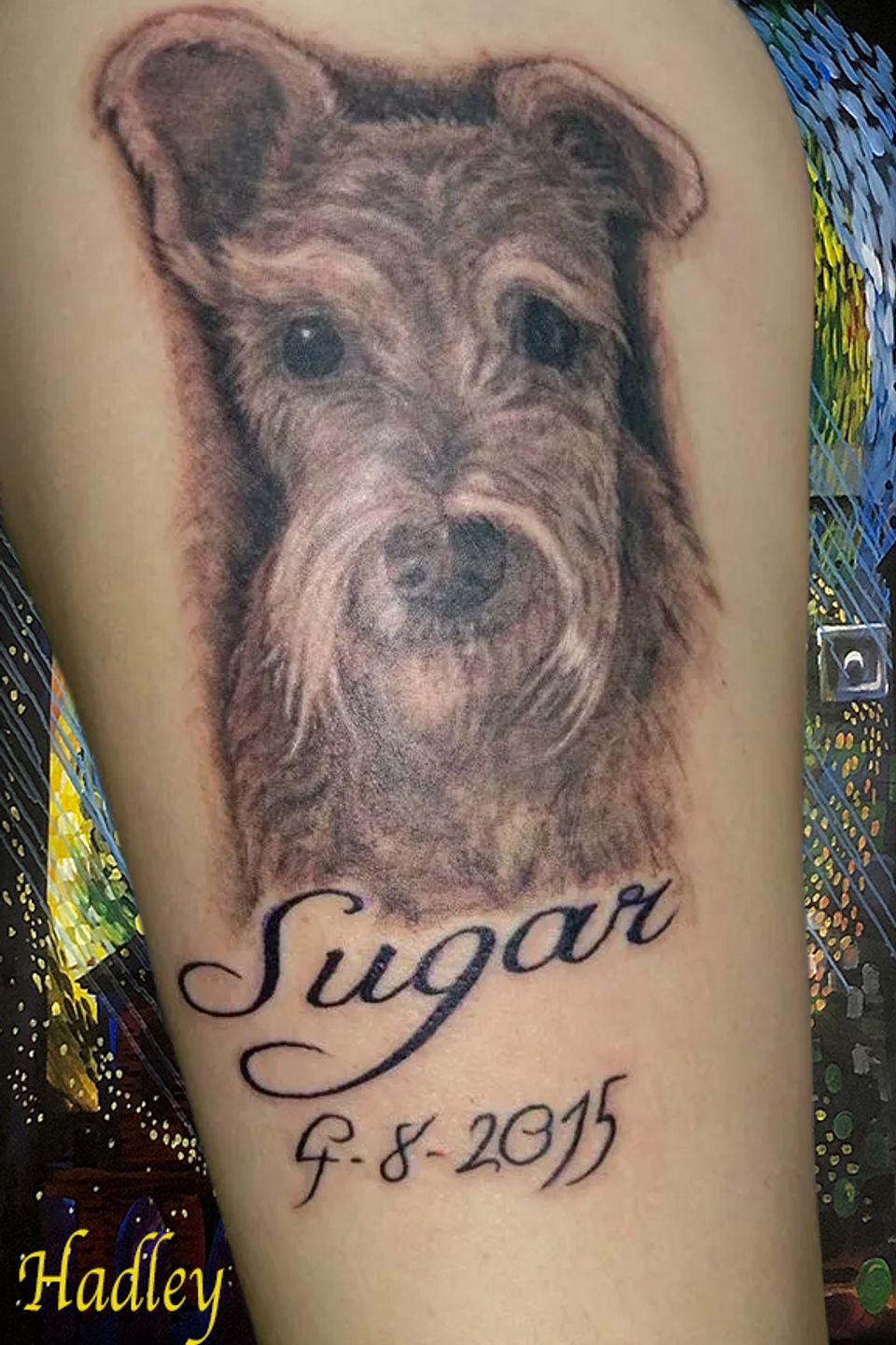 13912897 10206298751617927 9018424596894676254 n original copy