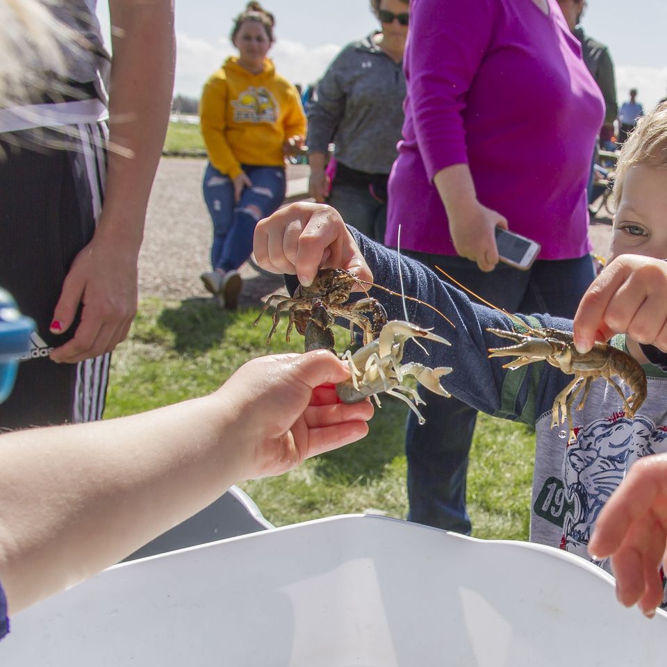 Fishing derby 2017 39