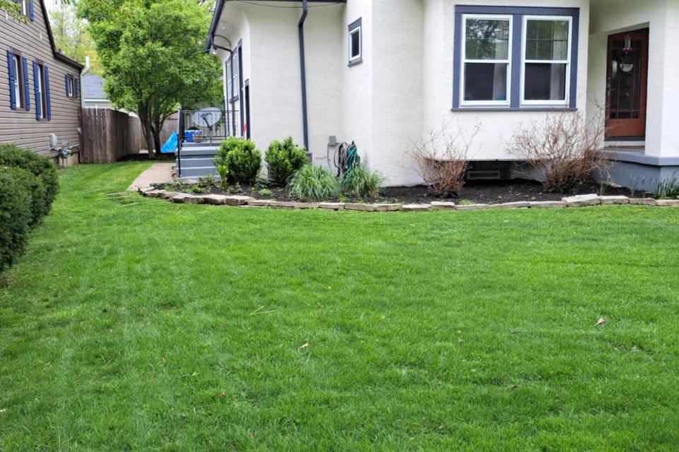Front yard landscape featuring black mulch, shrubs, ornamental grasses, and decorative stone edging.