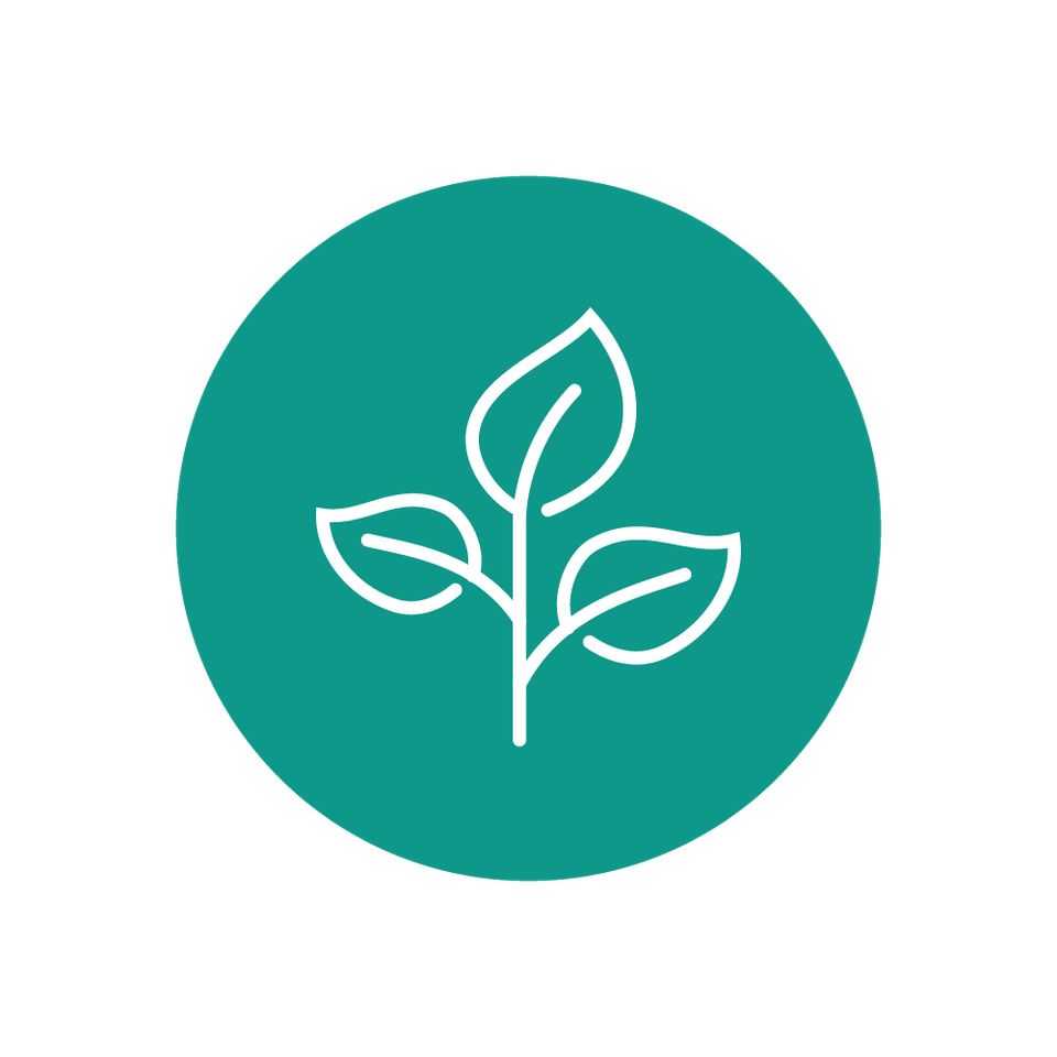 Fundraiser quality plants