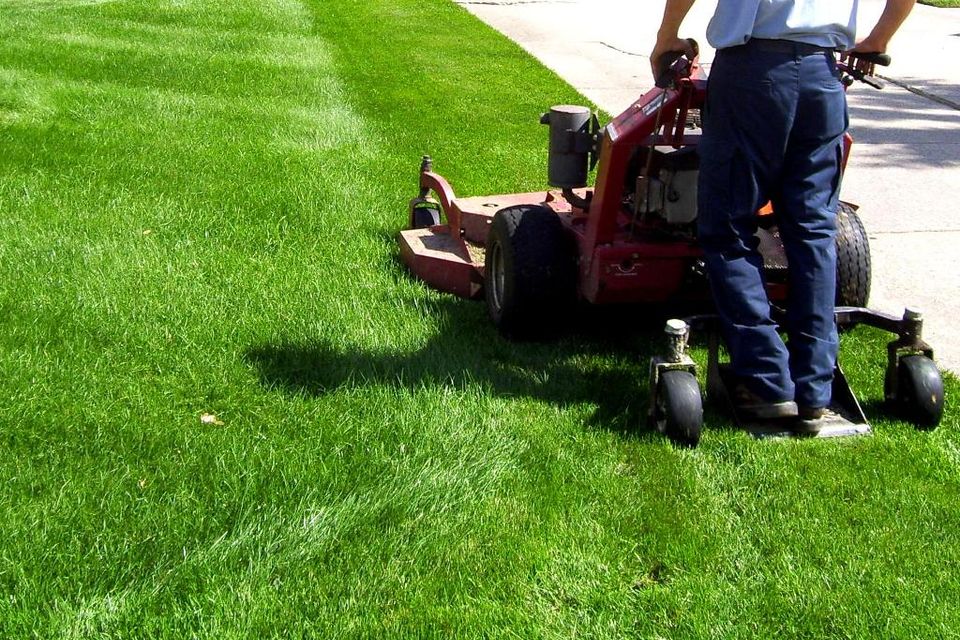 Lawn mowing for web orig