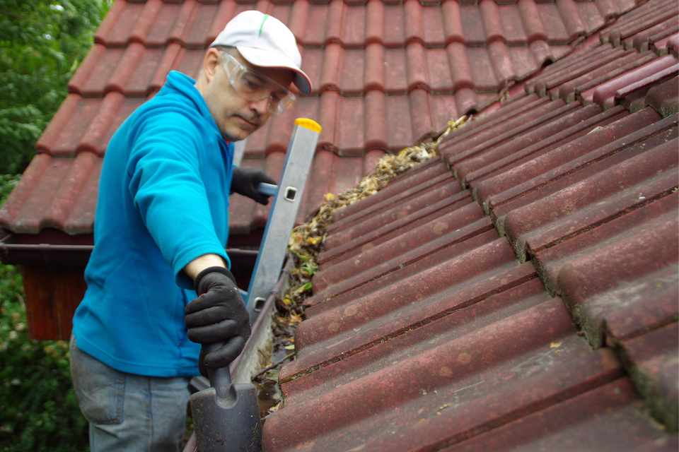 Gutter   roof cleaning