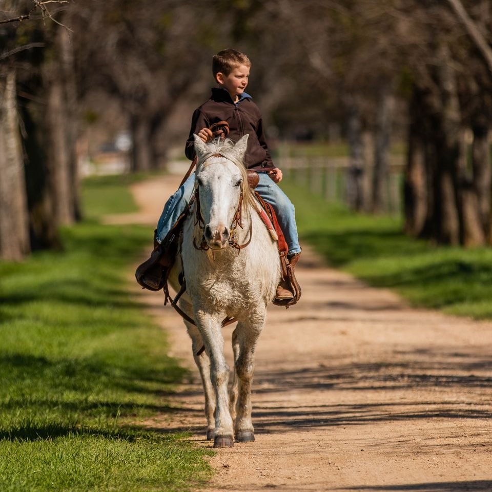 horse riding summer camp