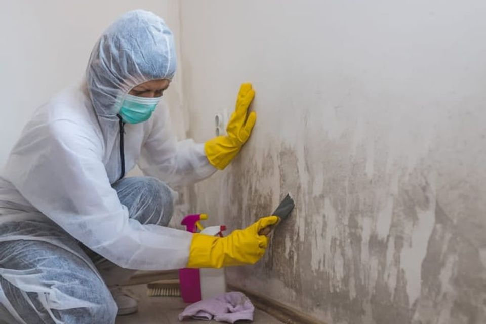 F009297178324f5cbb5f12fe7bc491ea