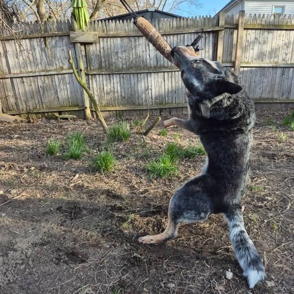 Fb img 1769435455005