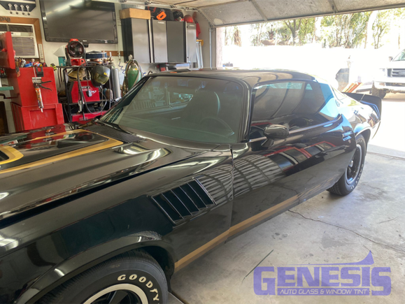 Genesis trans amo