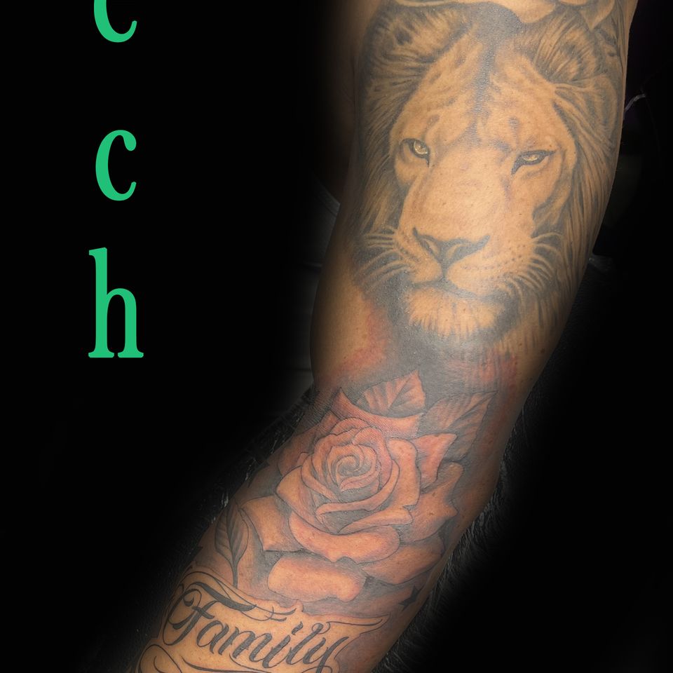 Tech lion sleeve