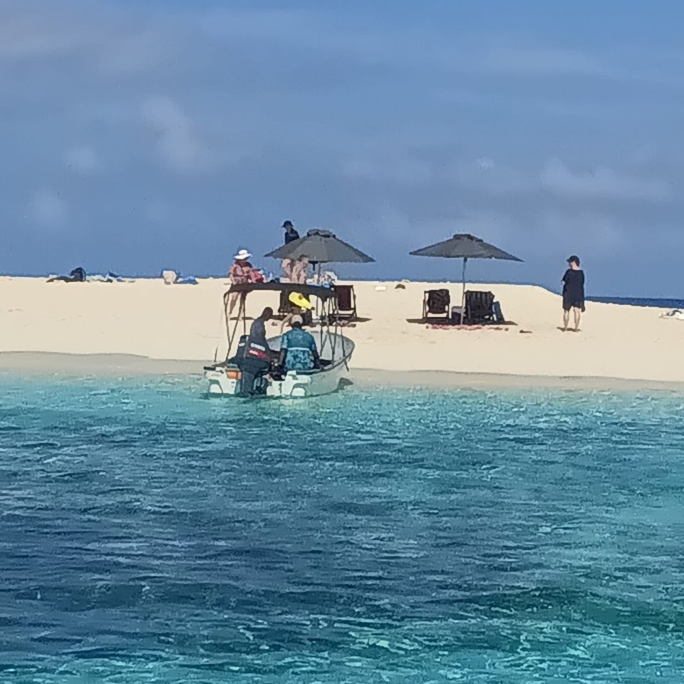 Sandbar umbrella
