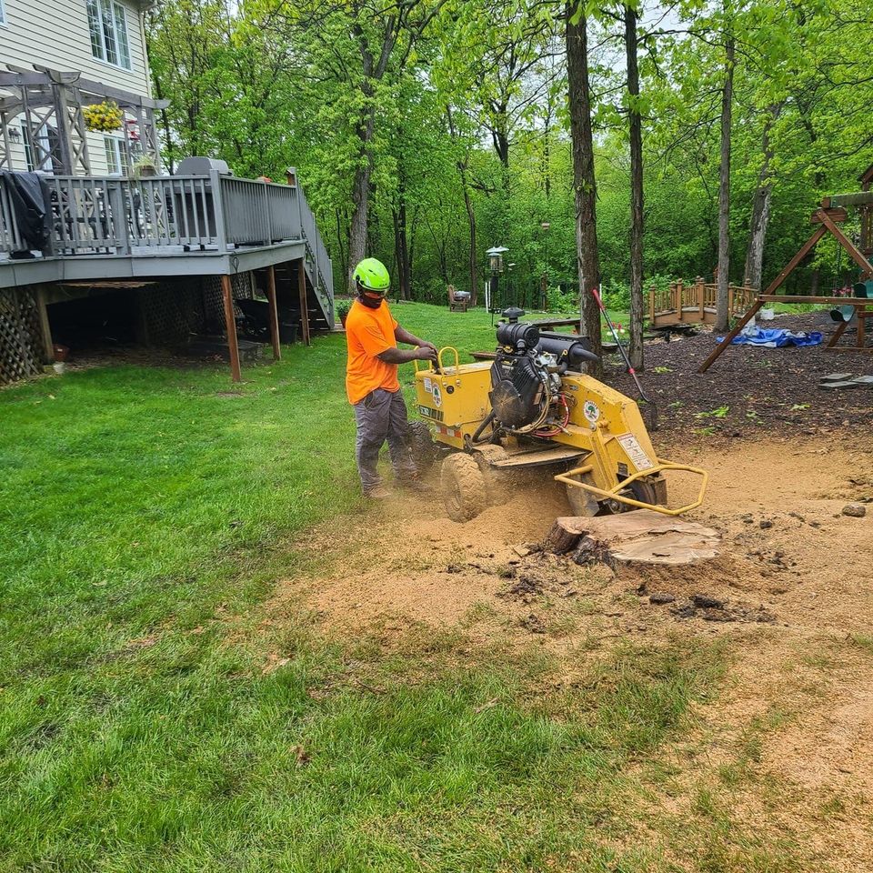 Stump removal - Bobby Tree Care LLC 